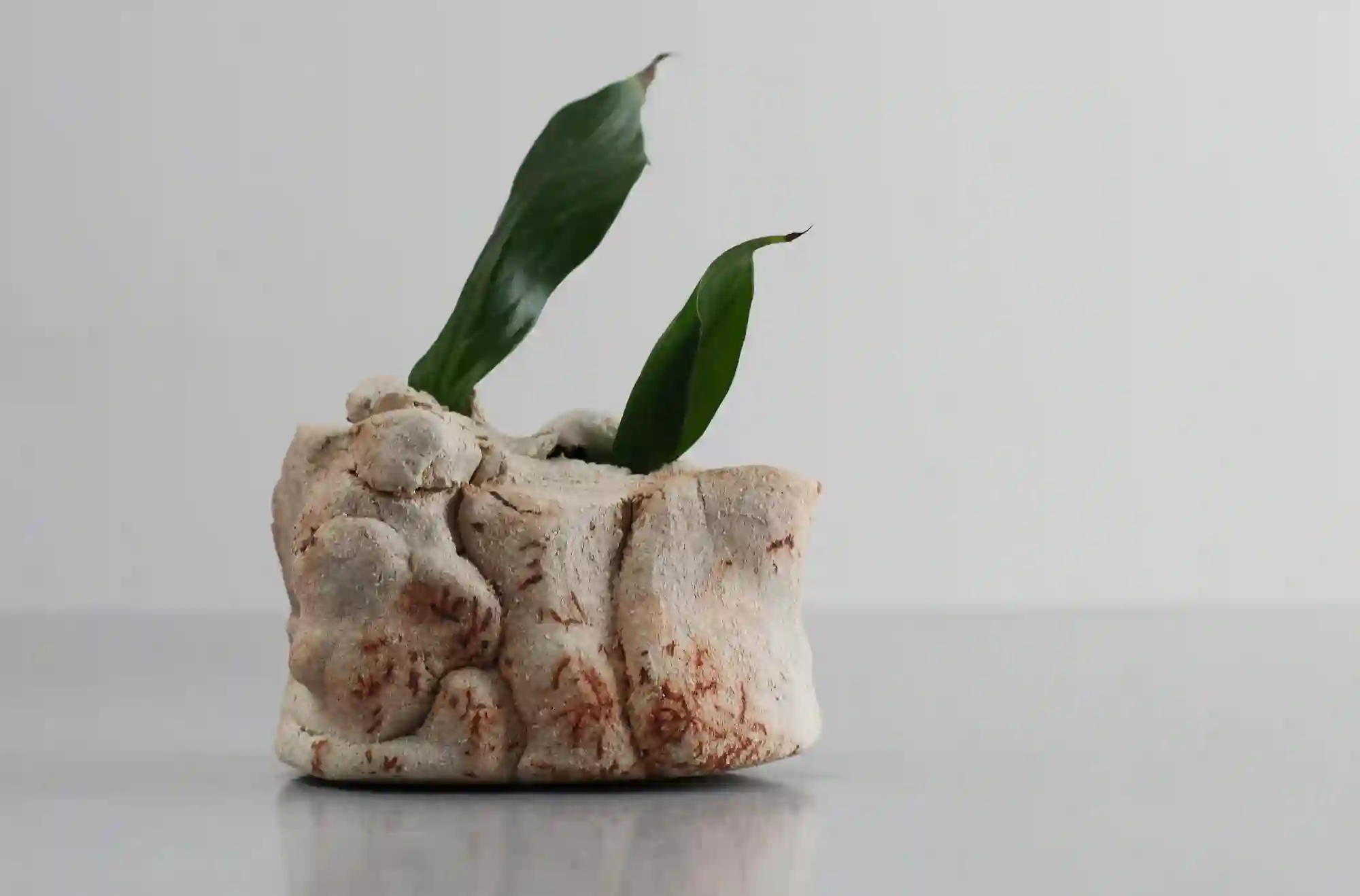 Jarrón de cogollos, jarrón en miniatura, jarrón ikebana, jarrón, mini jarrón