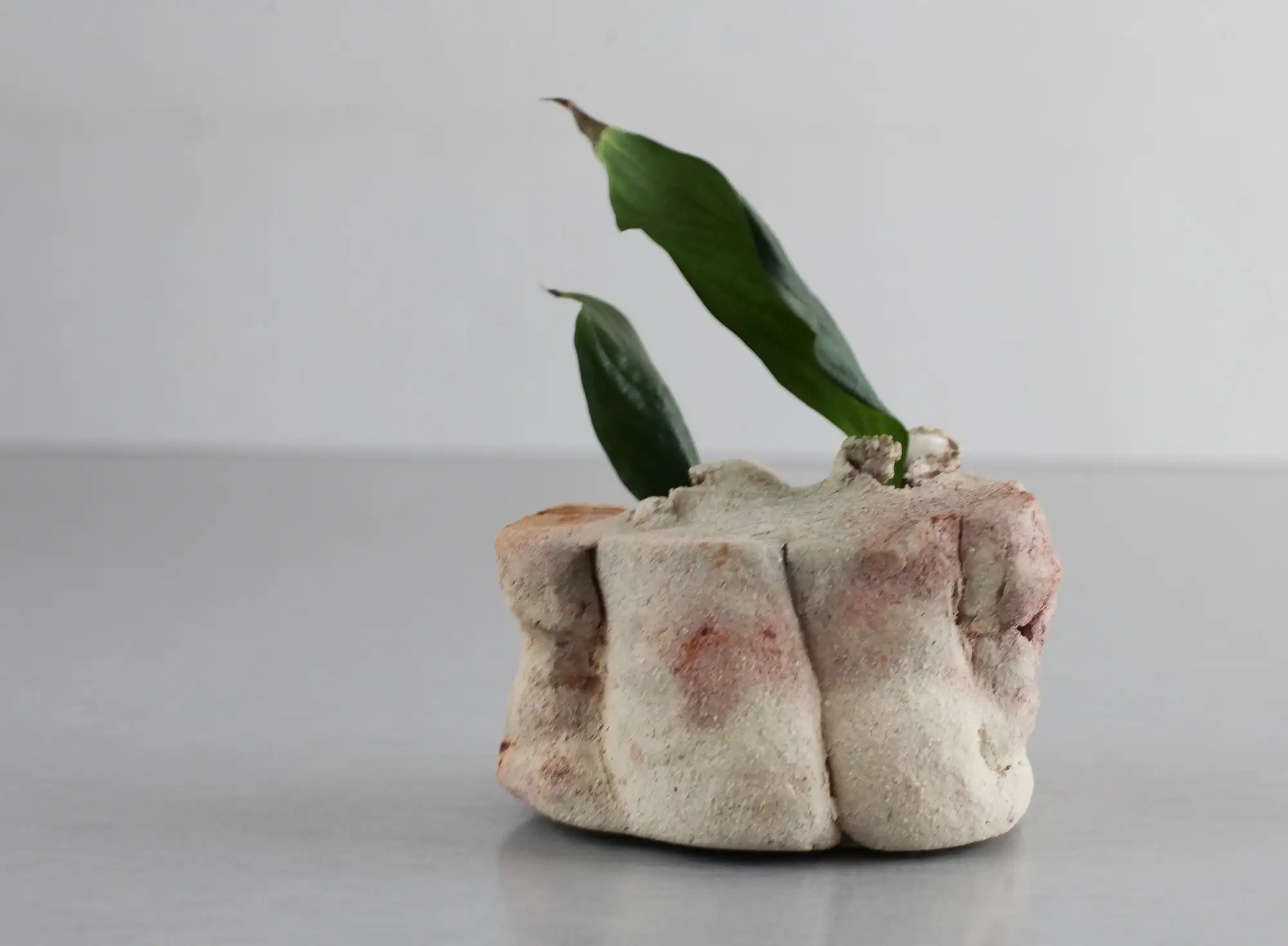 Jarrón de cogollos, jarrón en miniatura, jarrón ikebana, jarrón, mini jarrón - Imagen 2