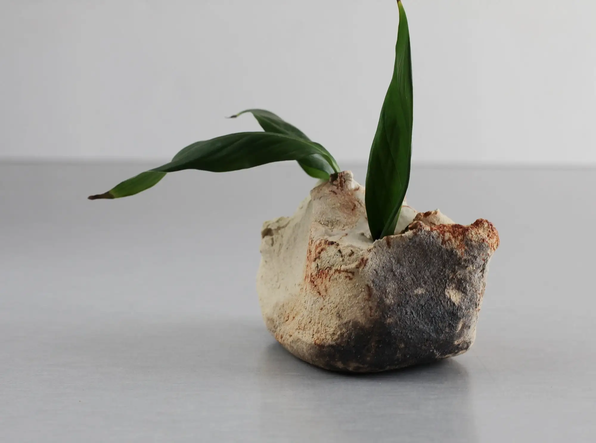 Jarrón de cogollos, jarrón en miniatura, jarrón ikebana, jarrón, mini jarrón - Imagen 4