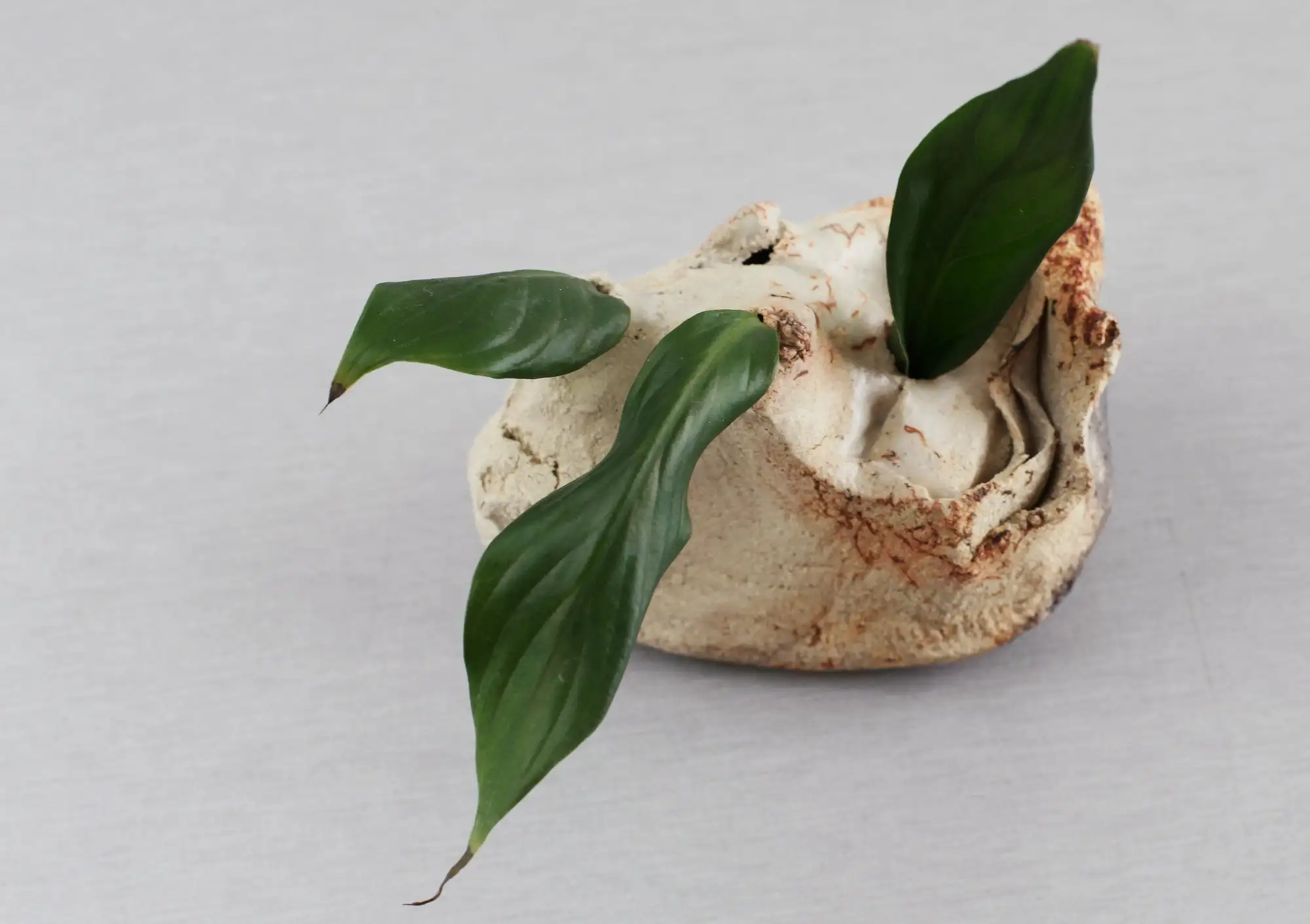 Jarrón de cogollos, jarrón en miniatura, jarrón ikebana, jarrón, mini jarrón - Imagen 7