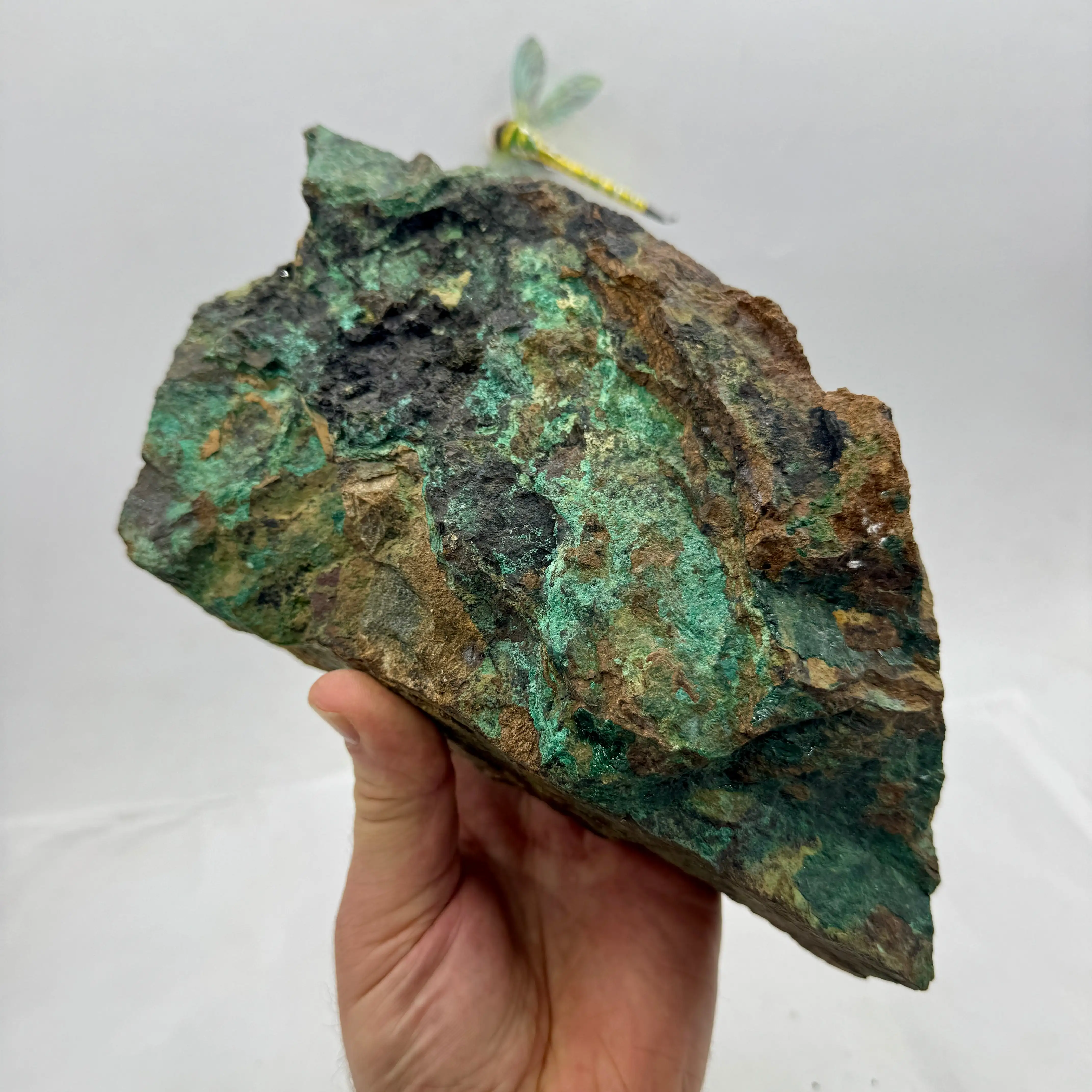 DIOPTASA DEL CONGO 3,1 kg. - Imagen 4