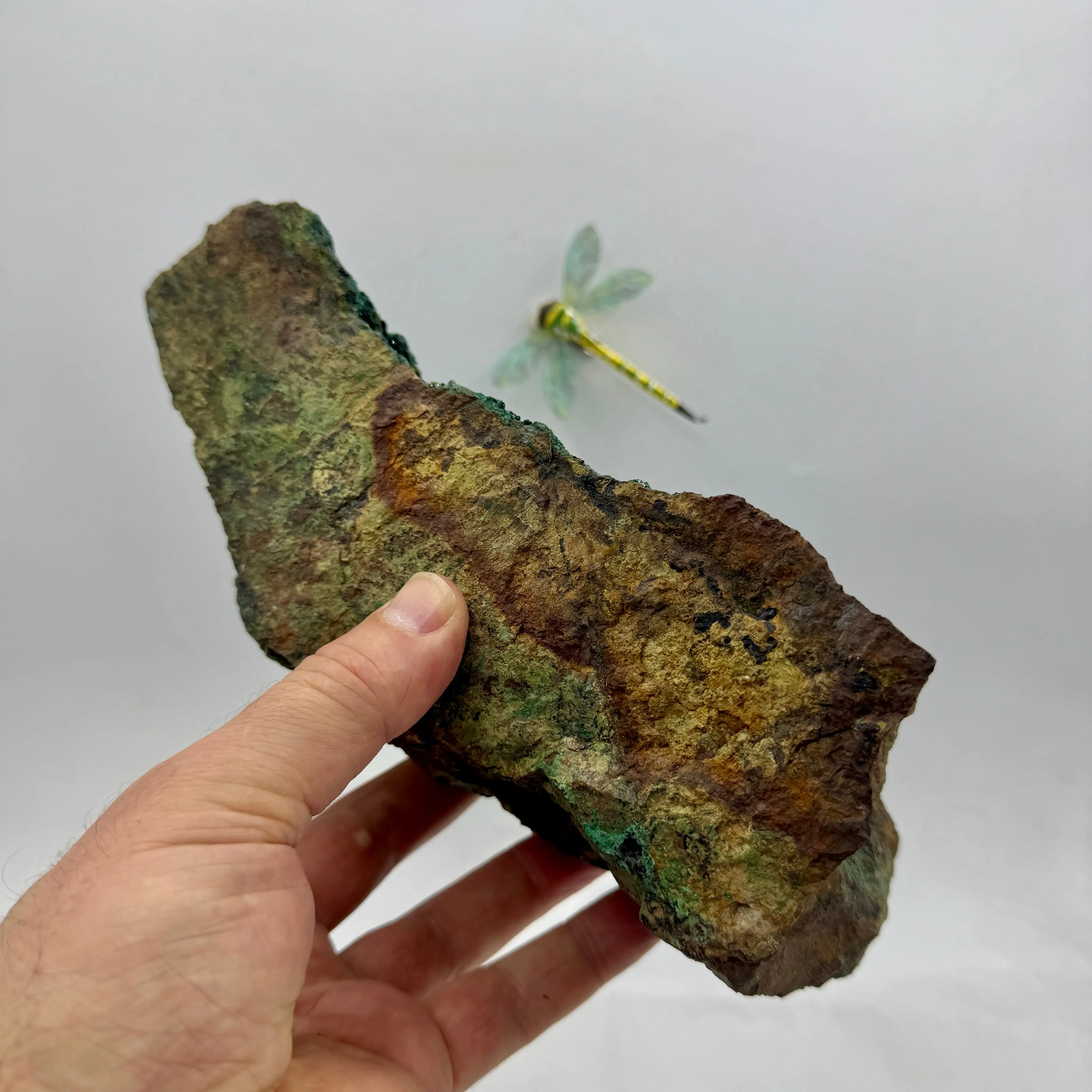 DIOPTASA DEL CONGO 3,1 kg. - Imagen 6