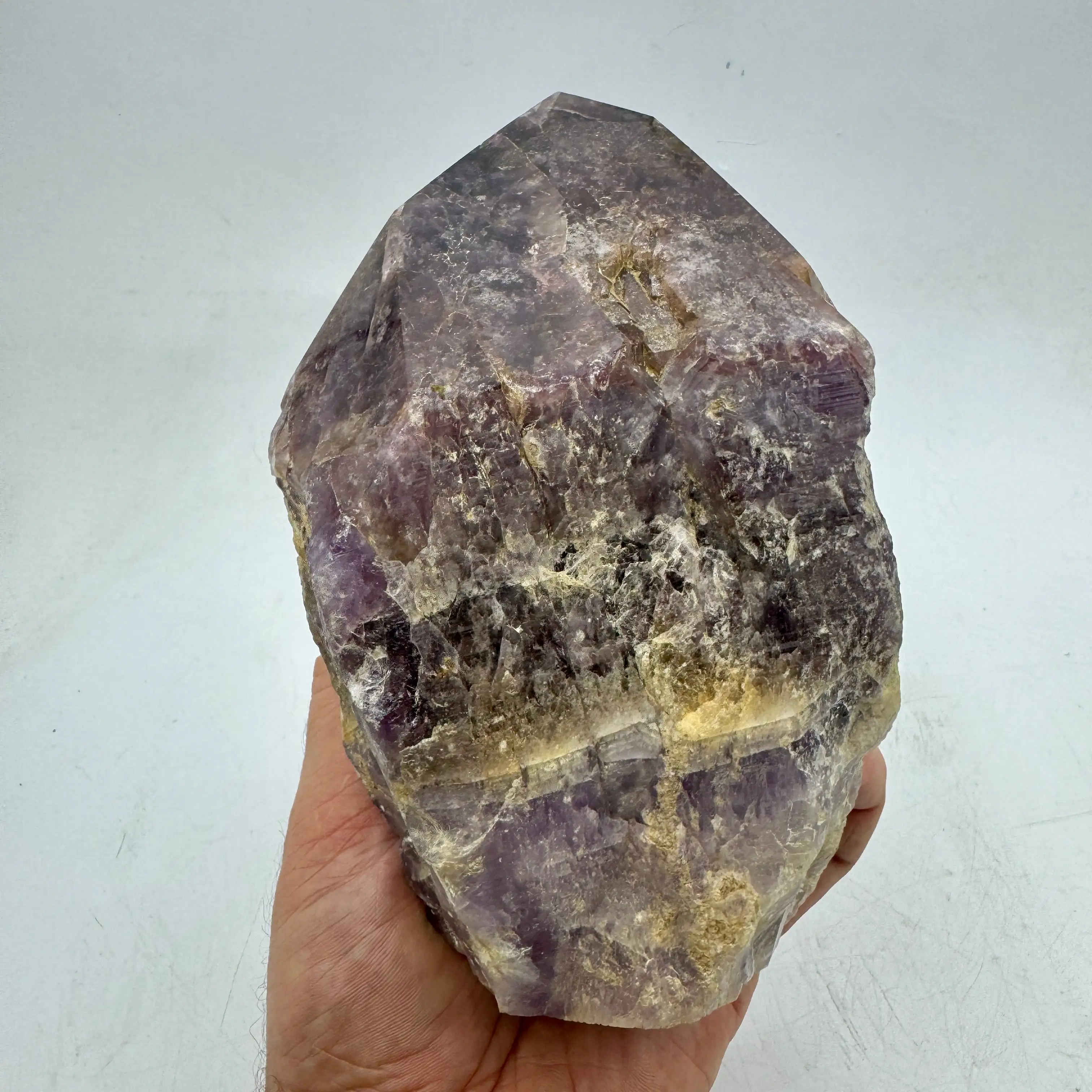 SÚPER SIETE PUNTA GRANDE 2,5 kg. - Imagen 2