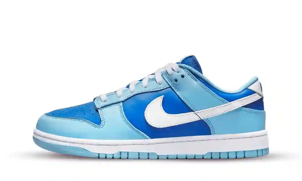 NIKE DUNK LOW RETRO QS ARGÓN 2022