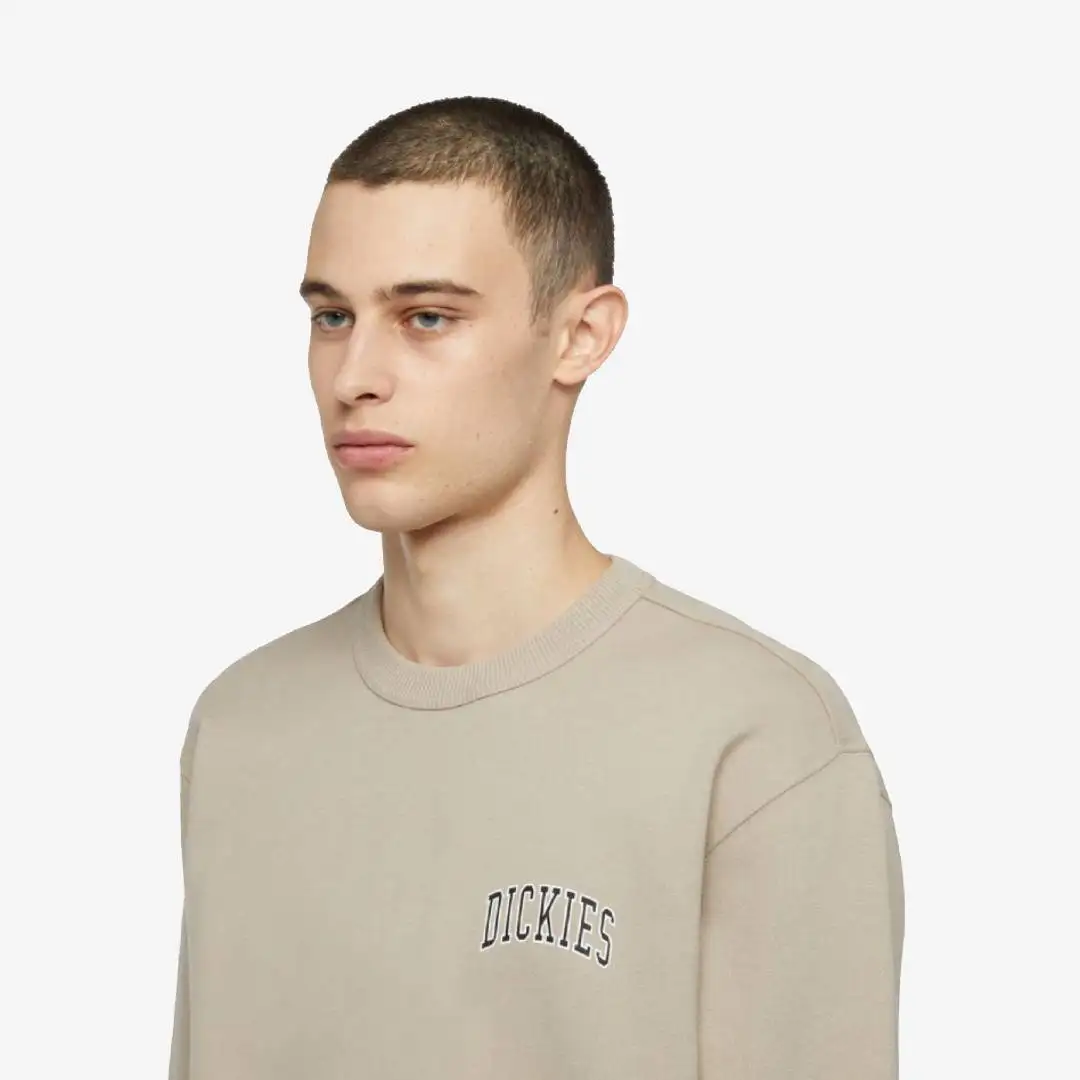 Sudadera con pecho Dickies Aitkin - Imagen 3