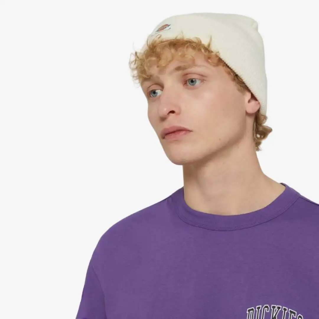 Dickies Gibsland Beanie - Image 4