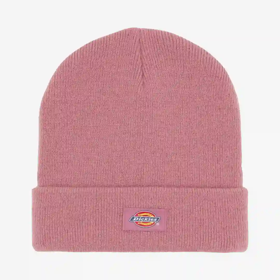 Dickies Gorro Gibsland