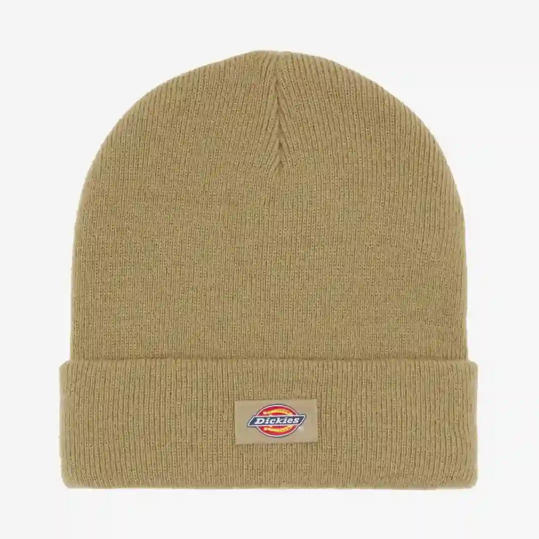 Dickies Gorro Gibsland