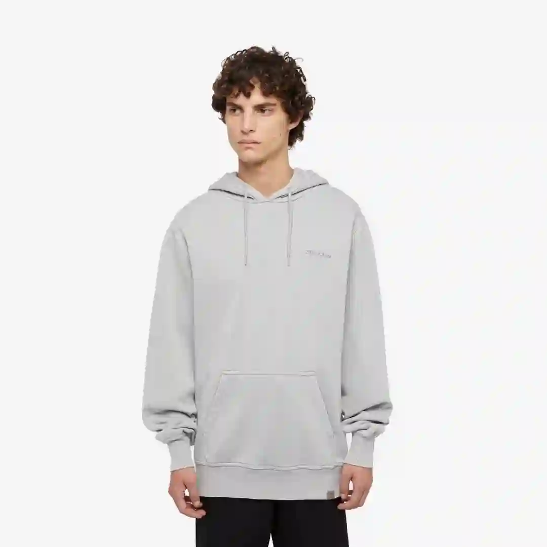 Sudadera con capucha Dickies Plentywood