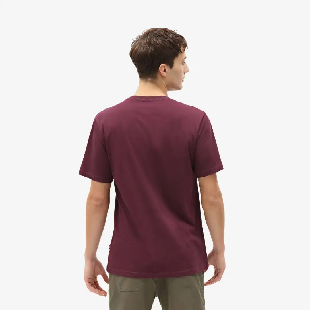 Camiseta Dickies SS Mapleton - Imagen 2