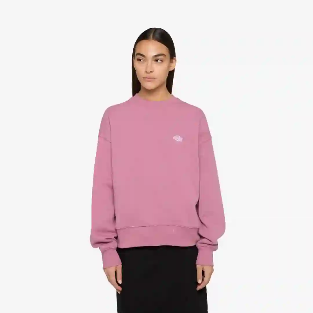 Dickies Summerdale Sweatshirt