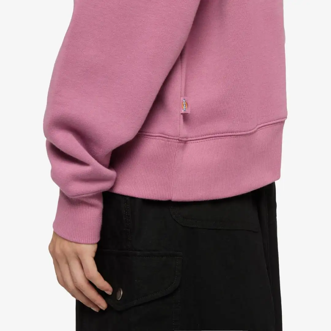 Sudadera Dickies Summerdale - Imagen 3