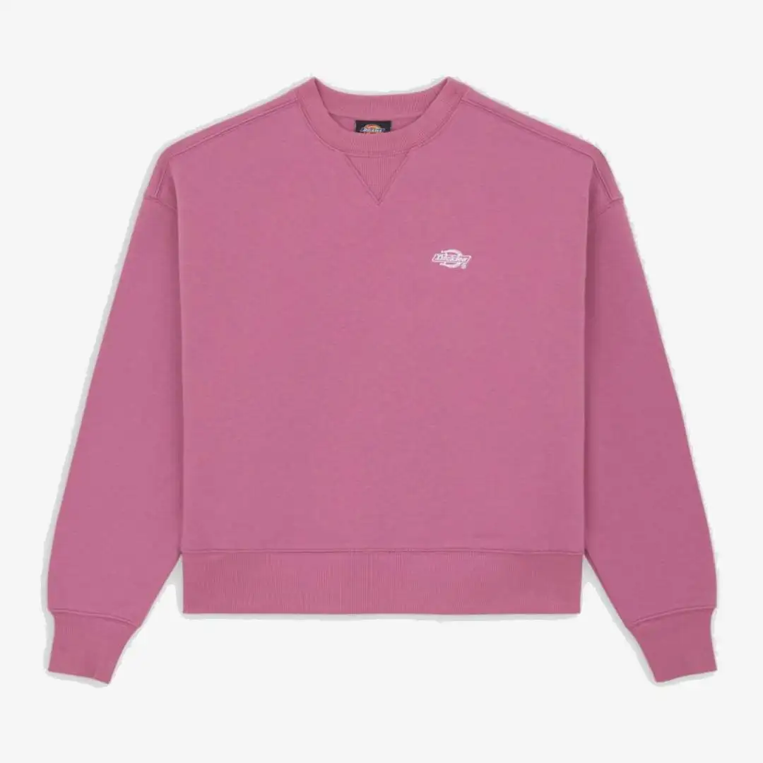 Sudadera Dickies Summerdale - Imagen 4