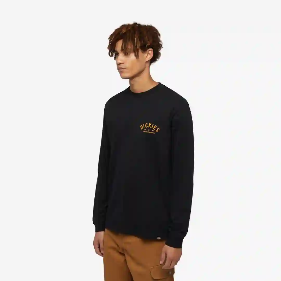 Camiseta Dickies Trego LS