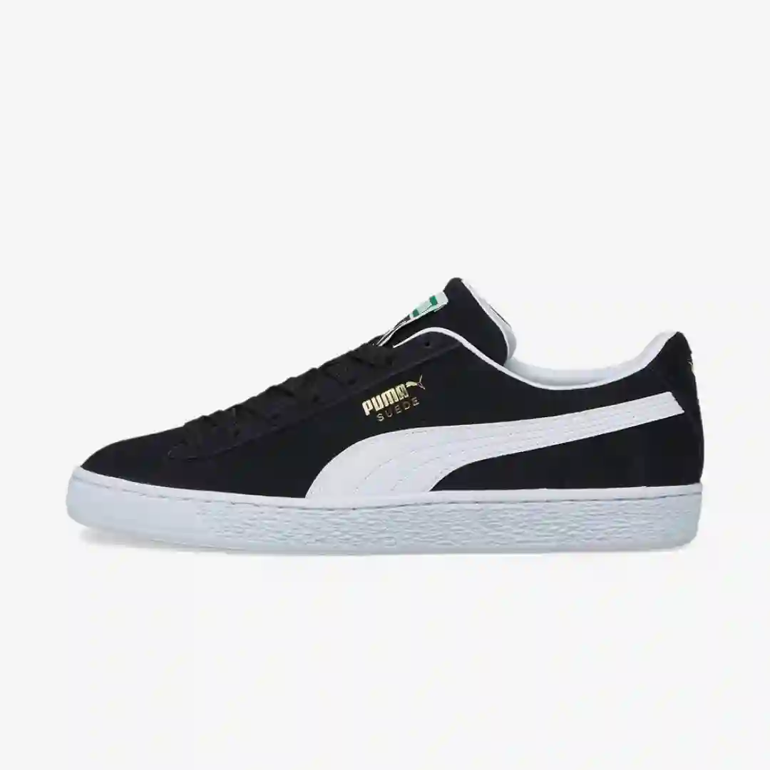puma ante cocodrilo