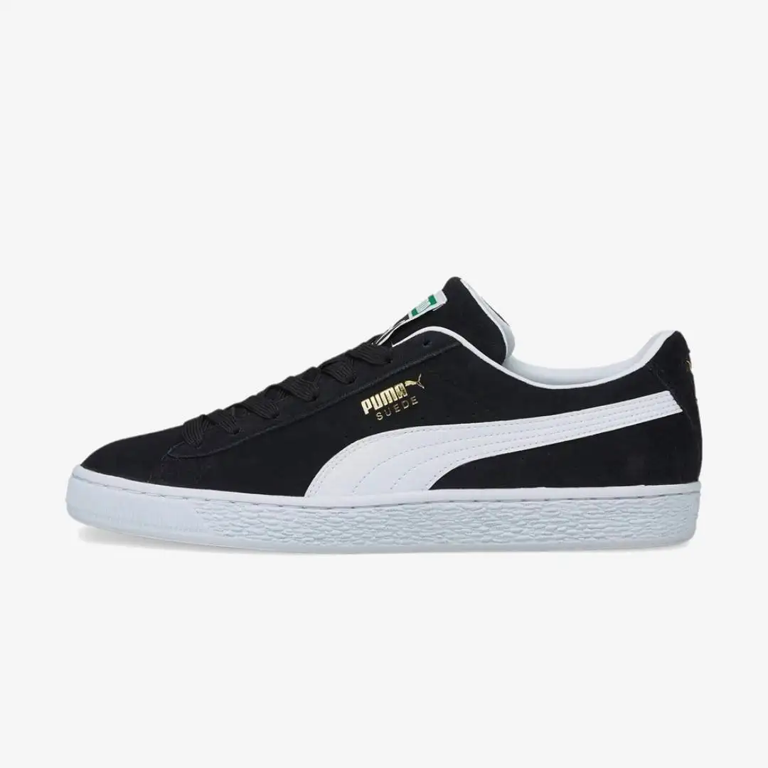 puma ante cocodrilo