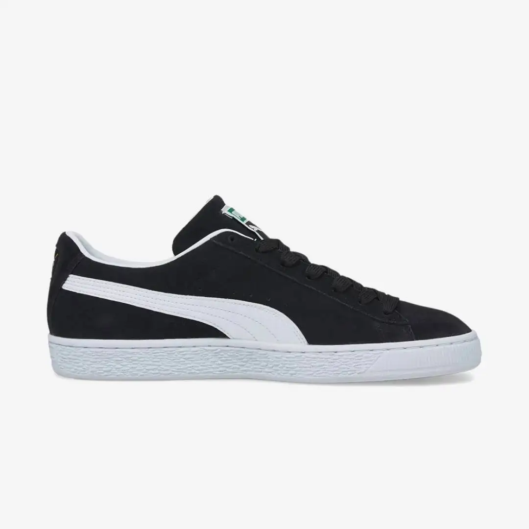 puma ante cocodrilo - Imagen 2