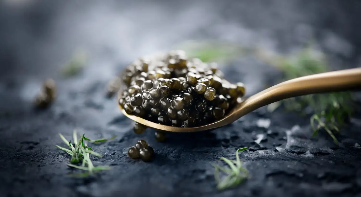 SPHERIKA, Sturgeon Caviar 20g - Image 2
