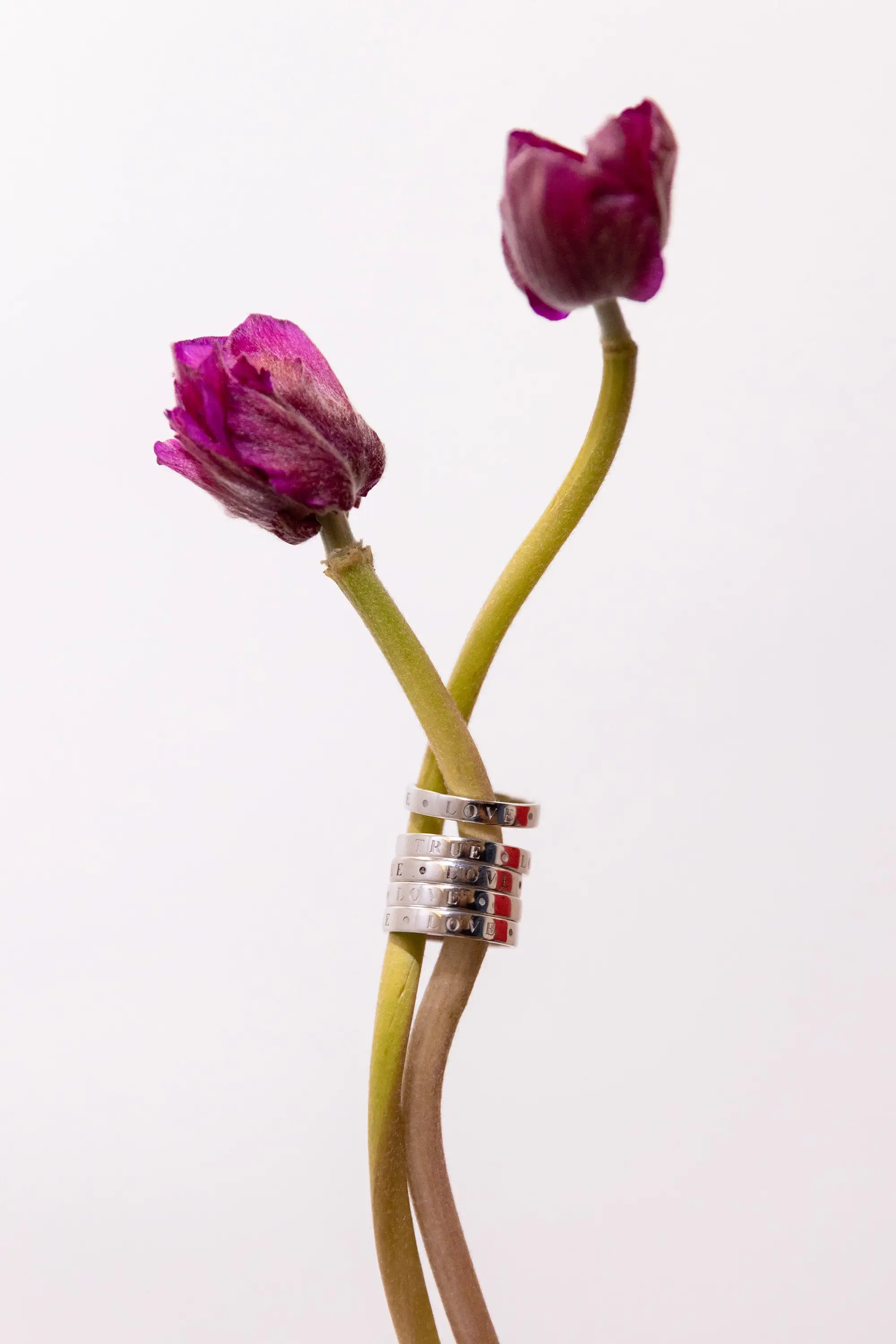 Anillo de amor - Imagen 3