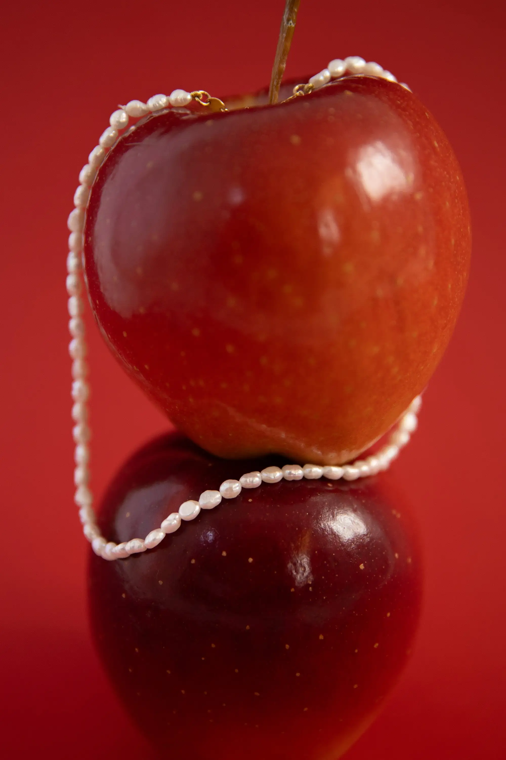 Collar Margaritas - Imagen 6