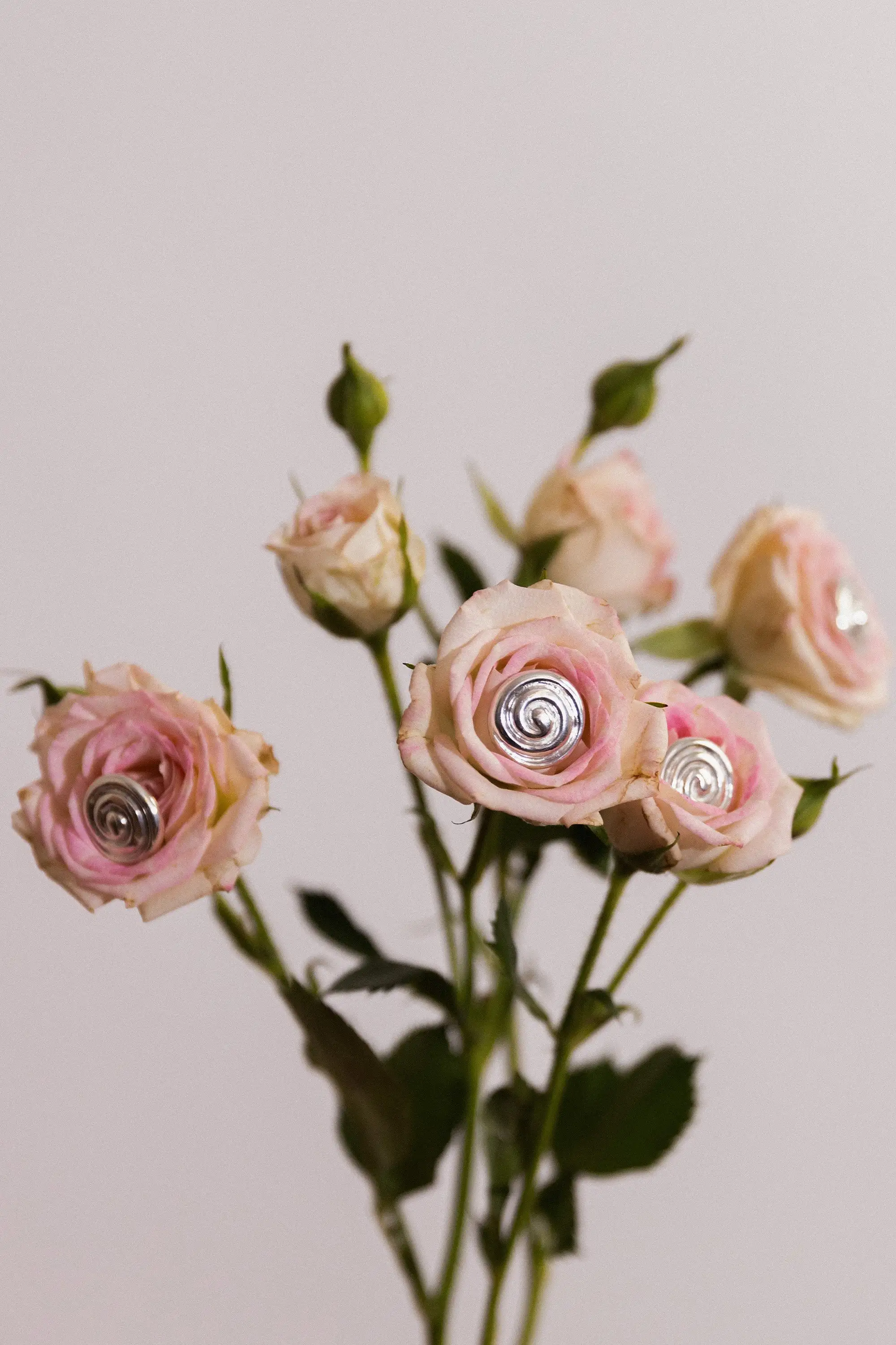Pendientes de concha - Imagen 8