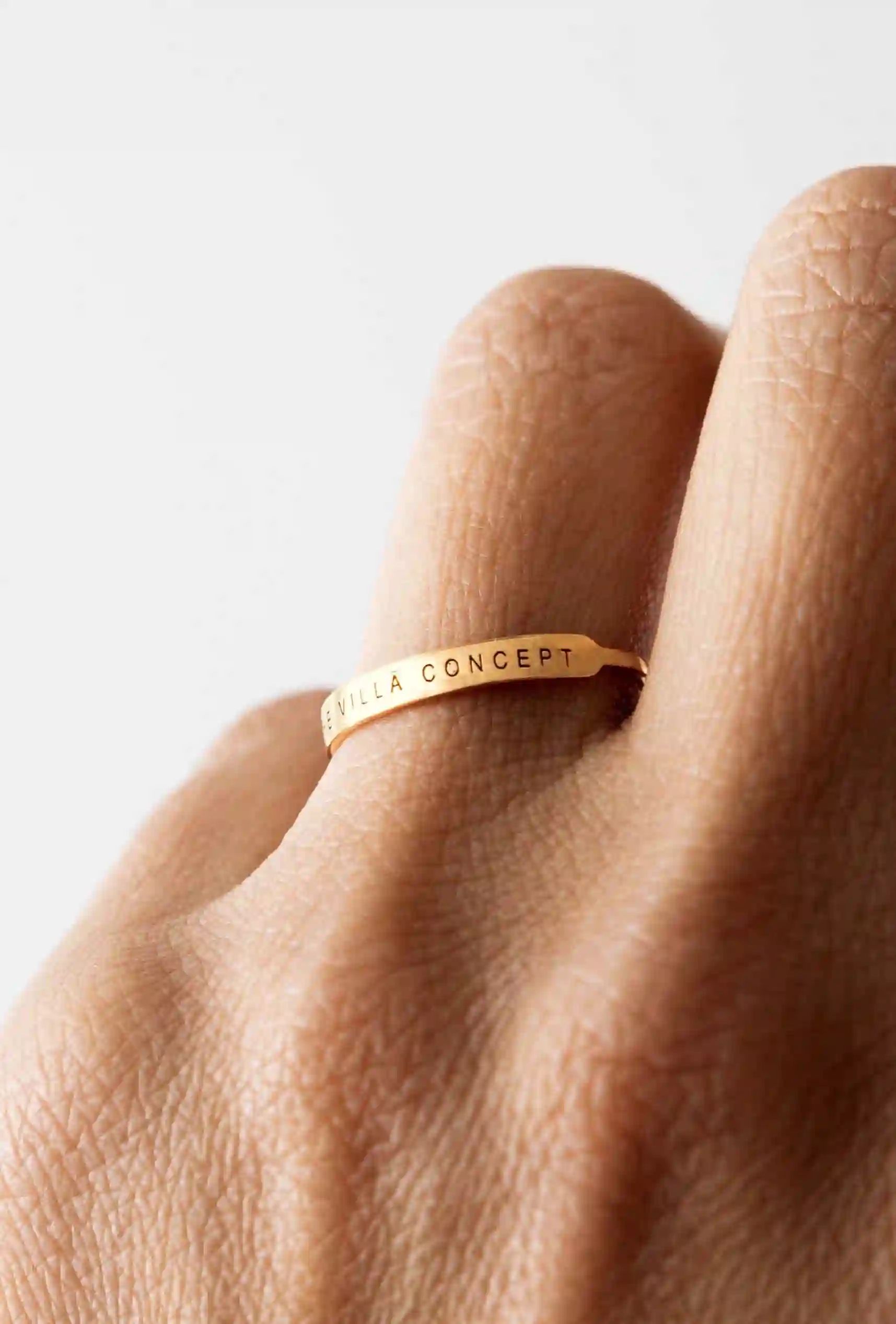 El Anillo Concepto Villã