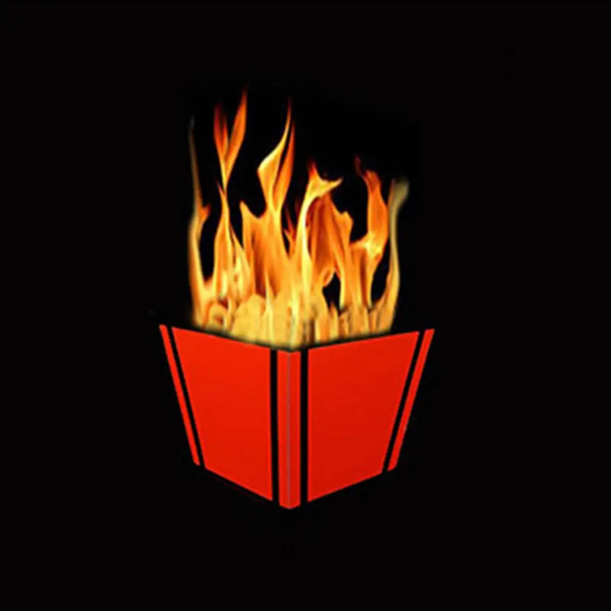 Tora Fire To Colorful Flower Vases(4 Times)
