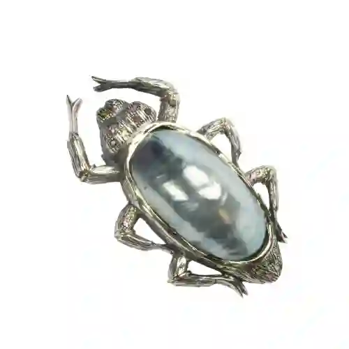 Broche styliano cucaracha