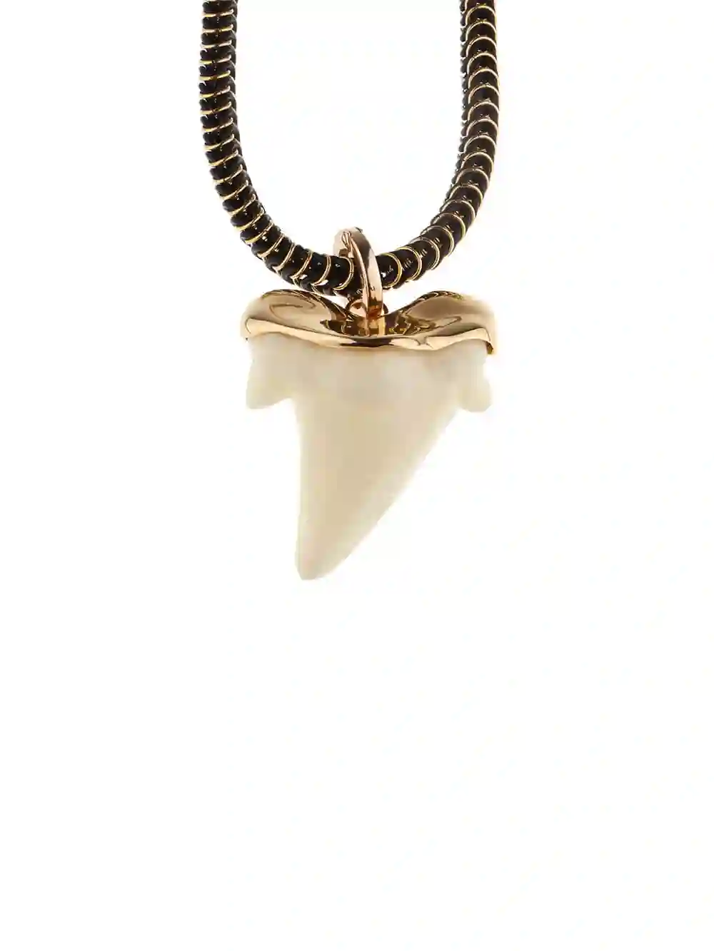 Gargantilla diente megalodon