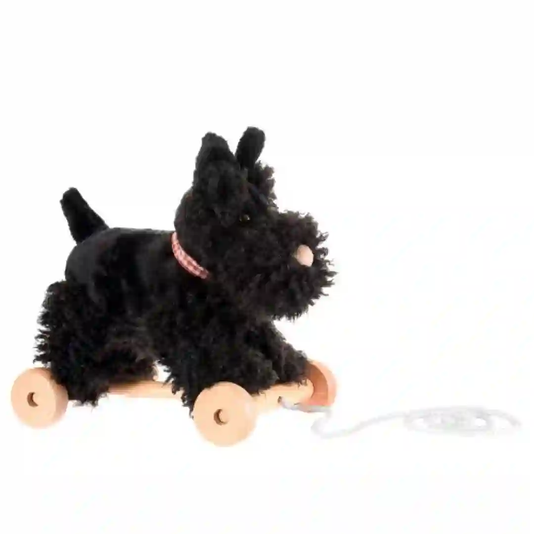 Arrastre de Madera Perro Walter
