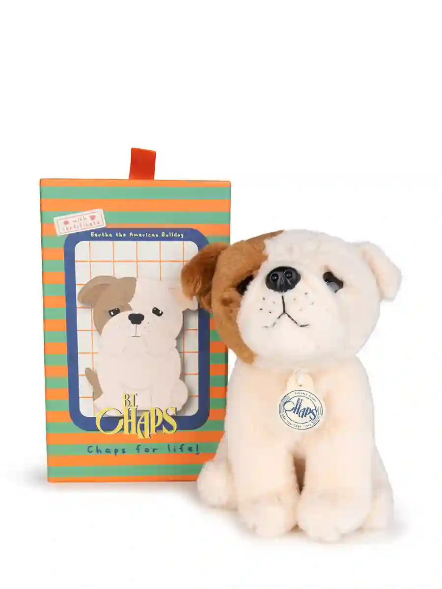 Bertha the American Bulldog in gift box