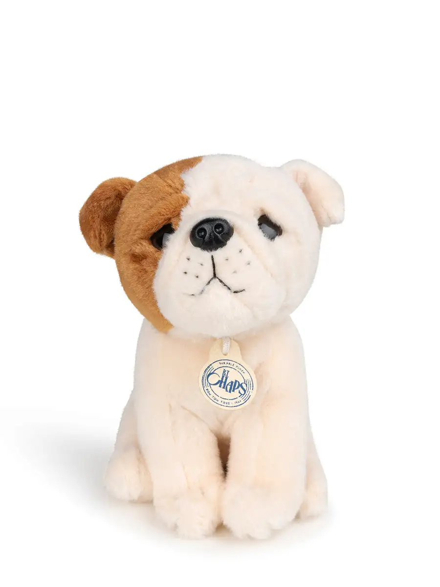 Bertha the American Bulldog in gift box - Image 2