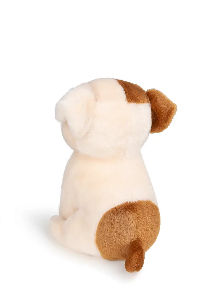 Bertha the American Bulldog in gift box - Image 3