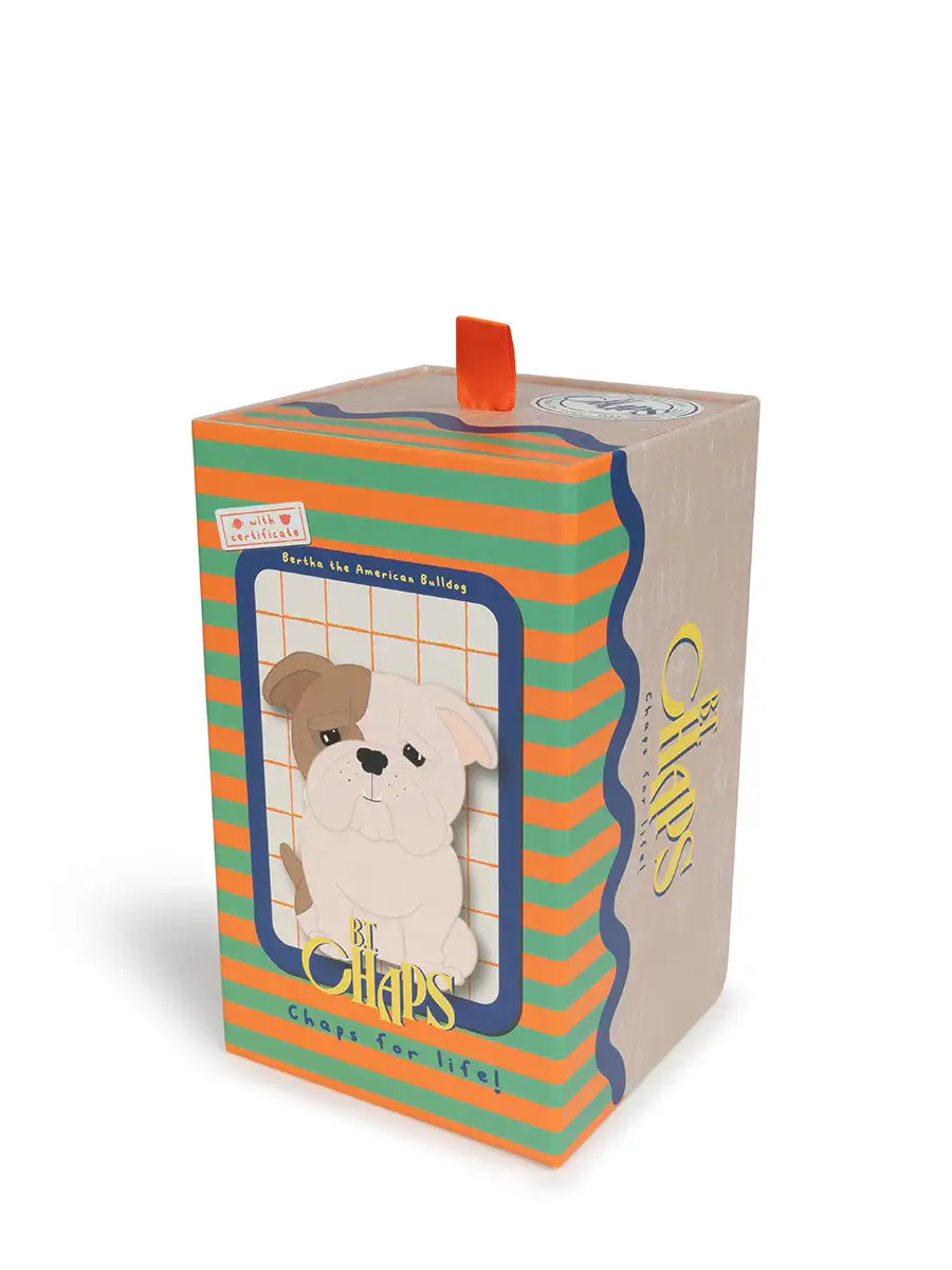 Bertha the American Bulldog in gift box - Image 4