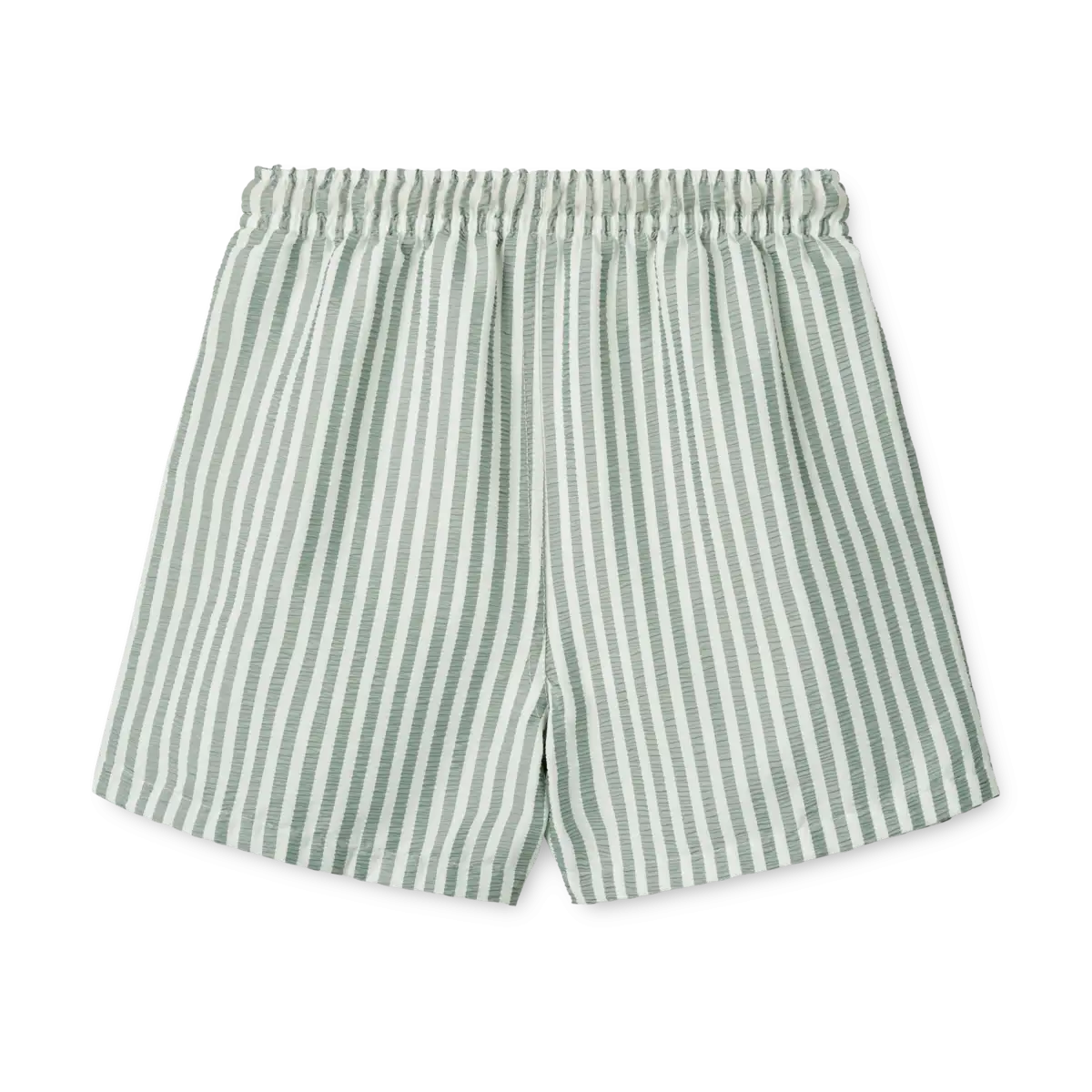 Duke Stripe Green fabric boxer - Image 2