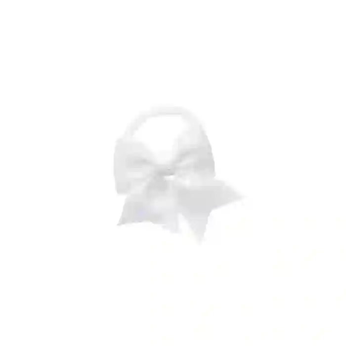 Coletero lacito blanco