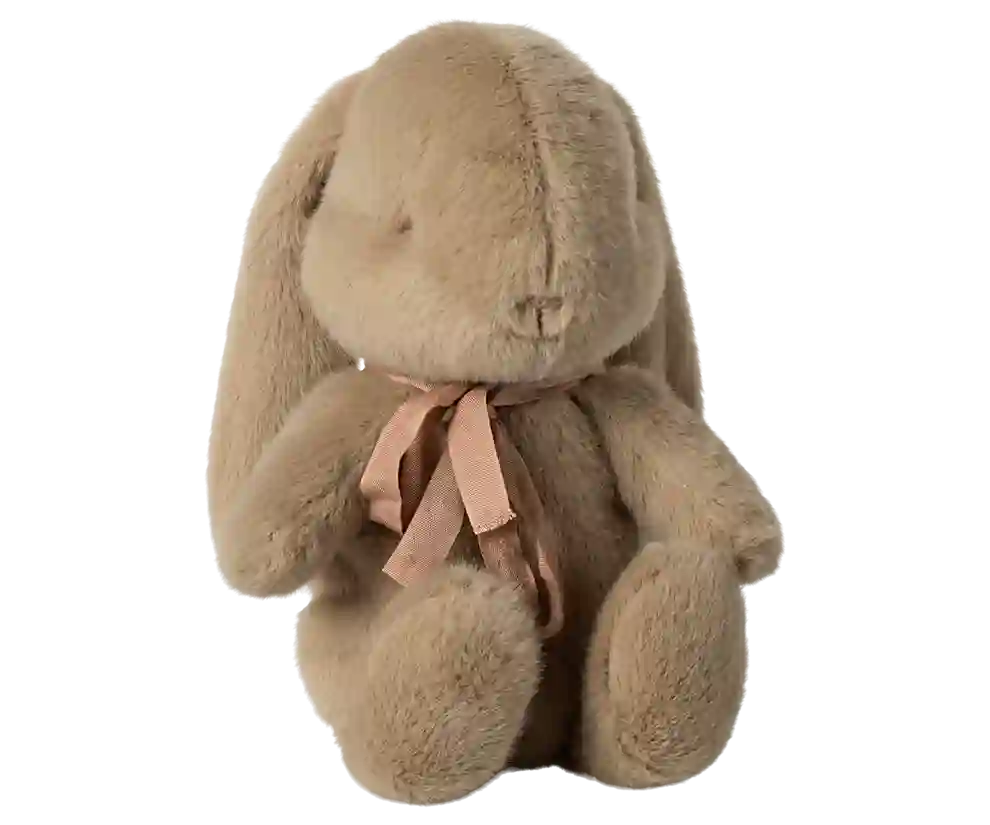 Brown bunny