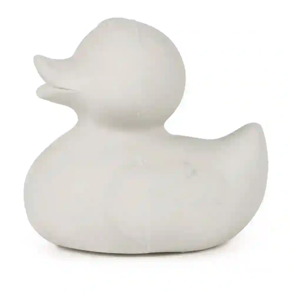 Elvis el pato Gris