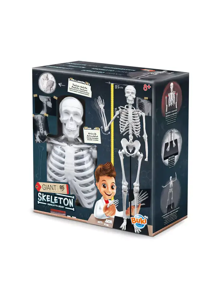 Giant 85 cm skeleton - Image 6