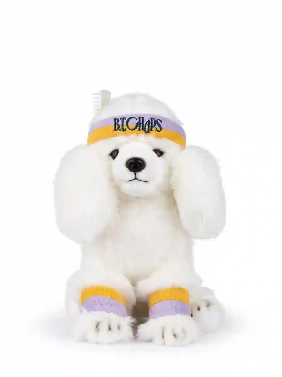 Franny the Poodle