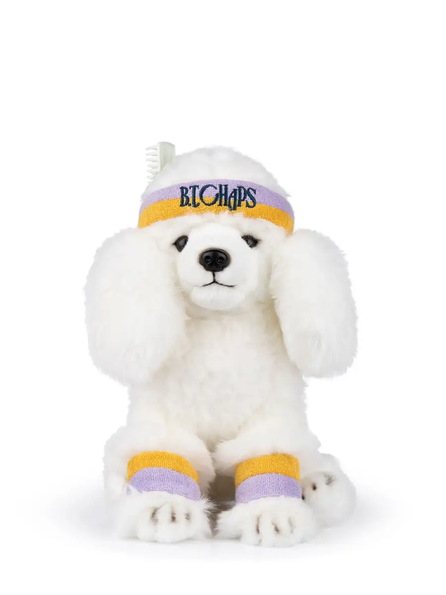 Franny the Poodle