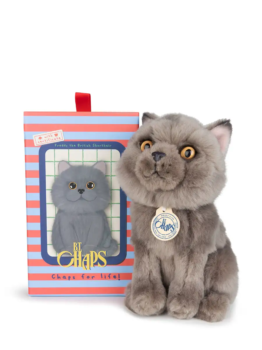 Freddy the British en caja de regalo