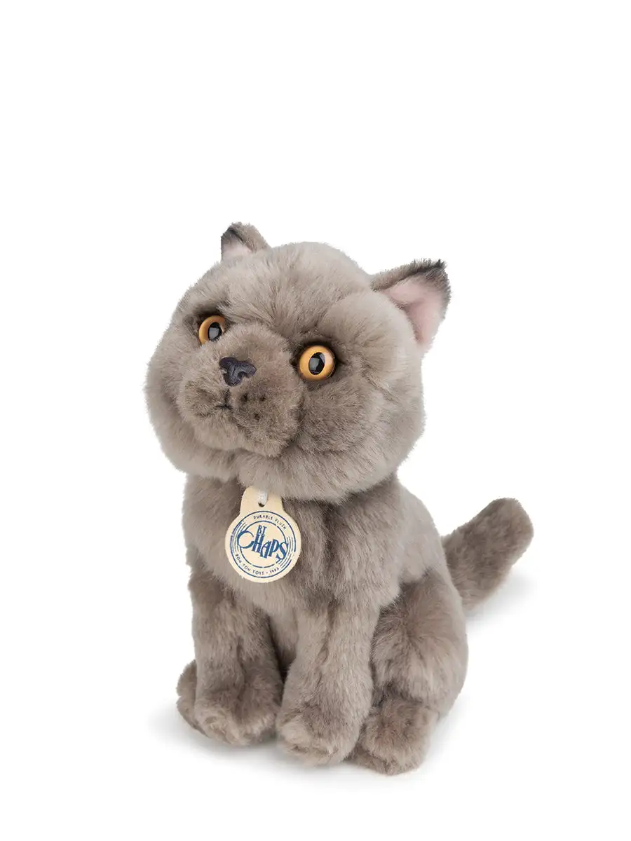 Freddy the British en caja de regalo - Imagen 3