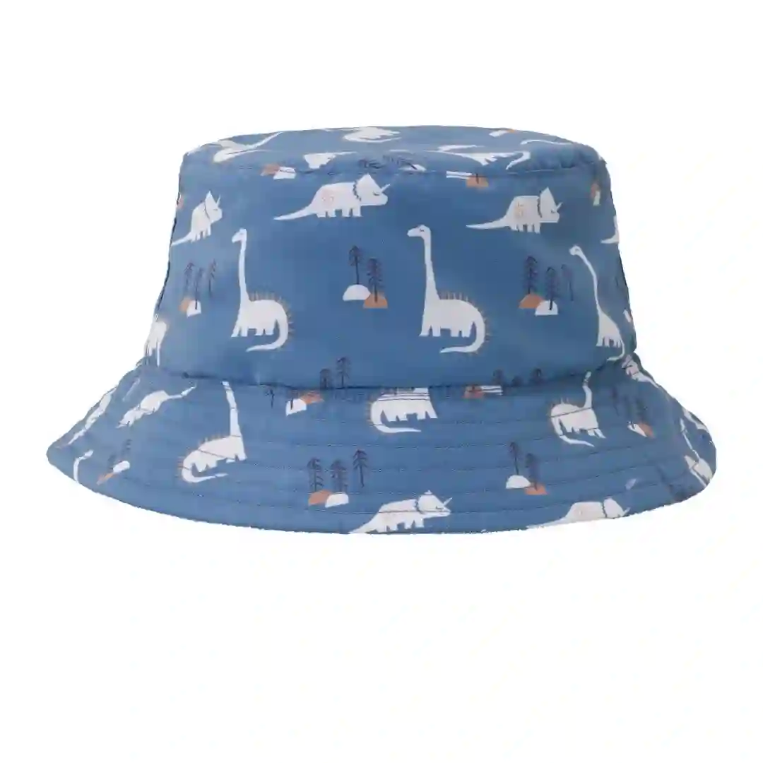 Dinosaurs reversible hat