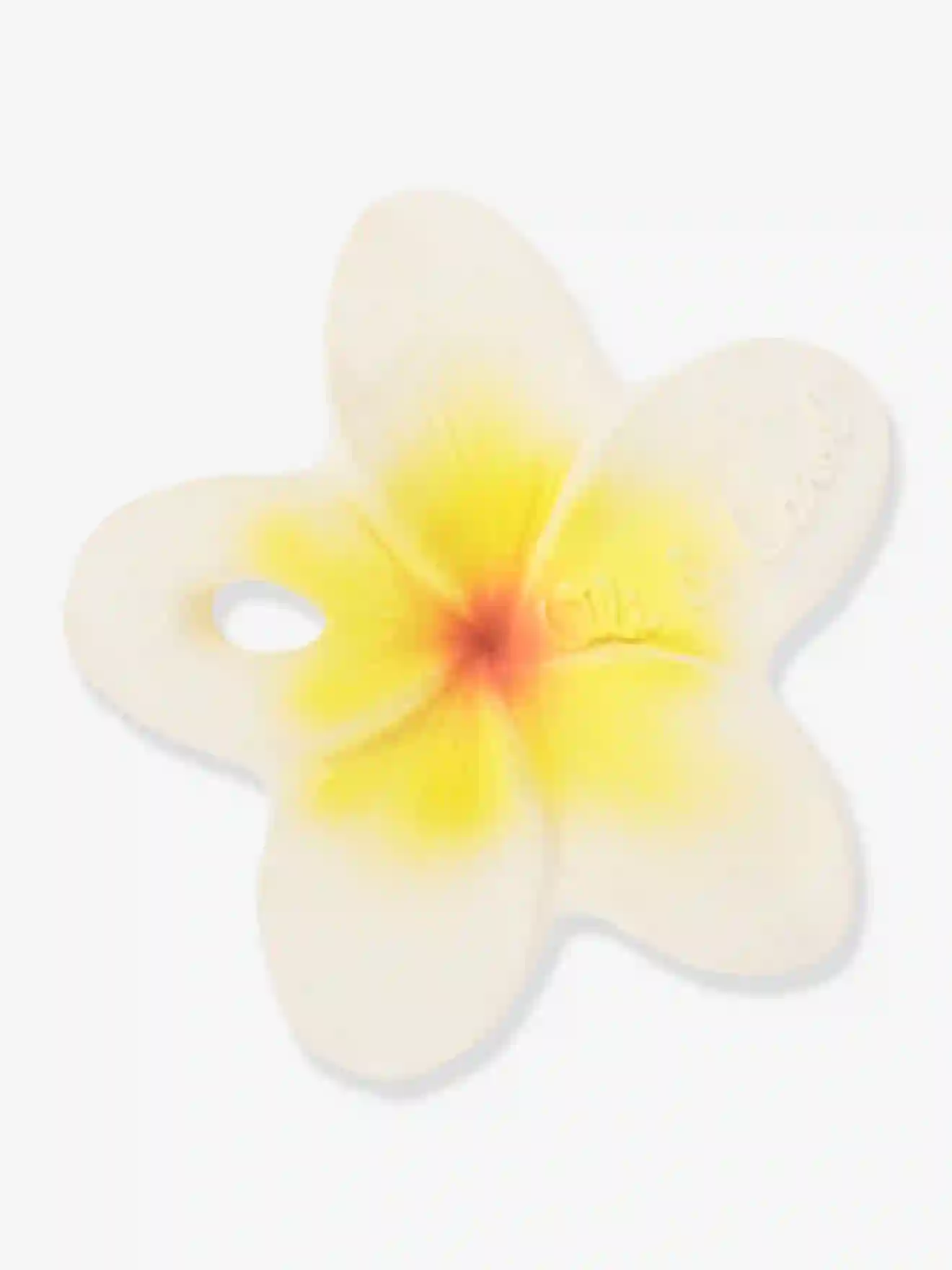 Hawaii The Flower