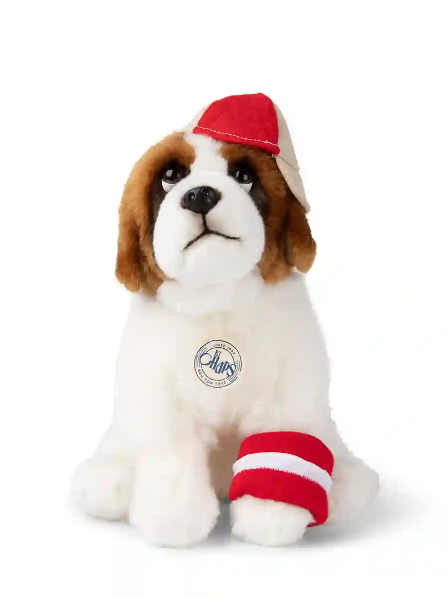 Herman the Saint Bernard