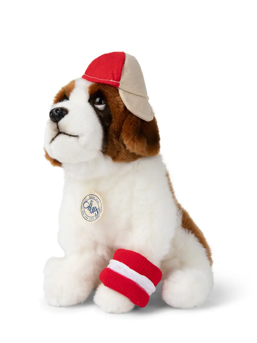 Herman the Saint Bernard - Image 2