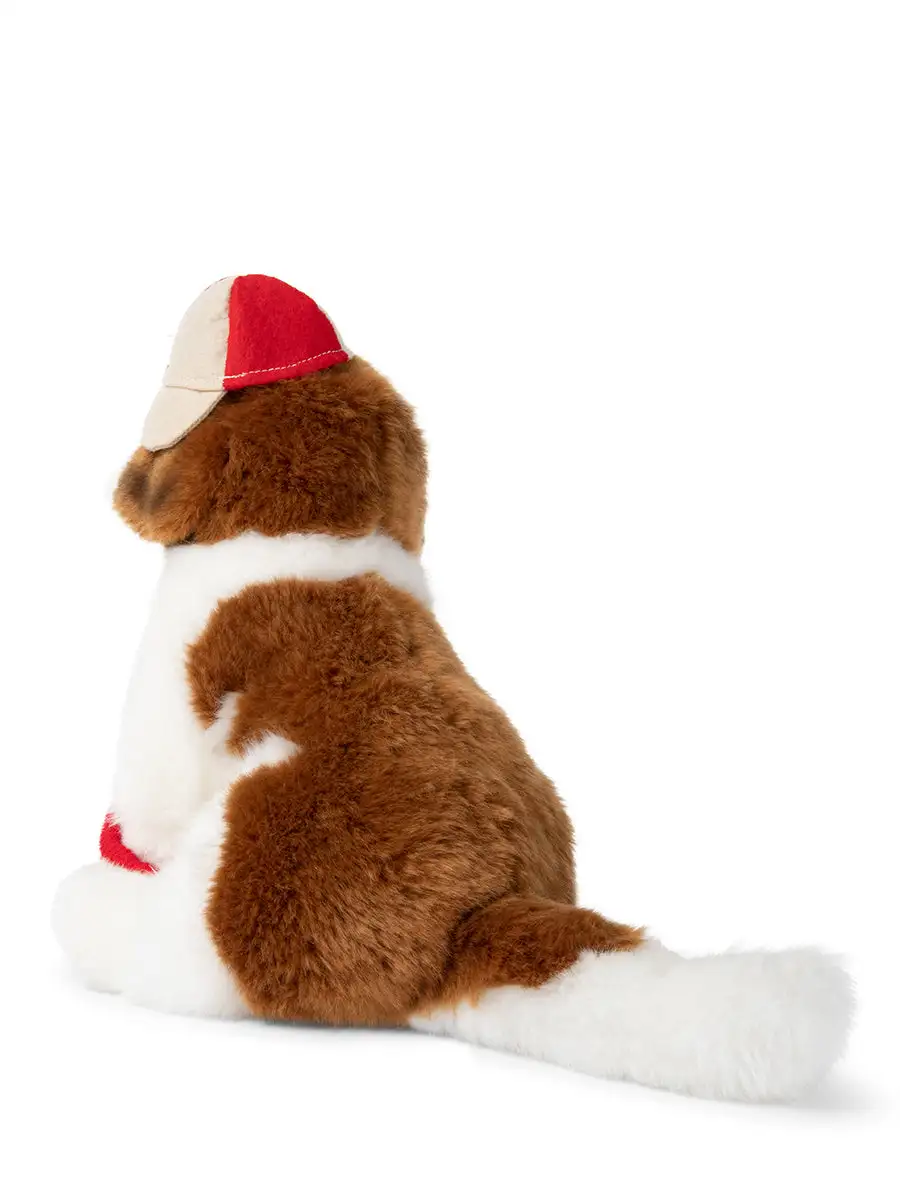 Herman the Saint Bernard - Image 3