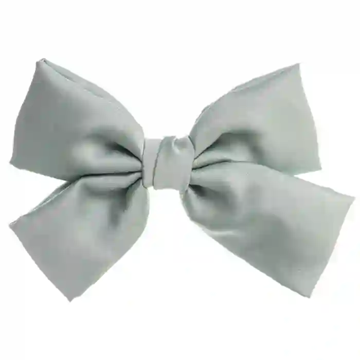 Large bow with moss clip