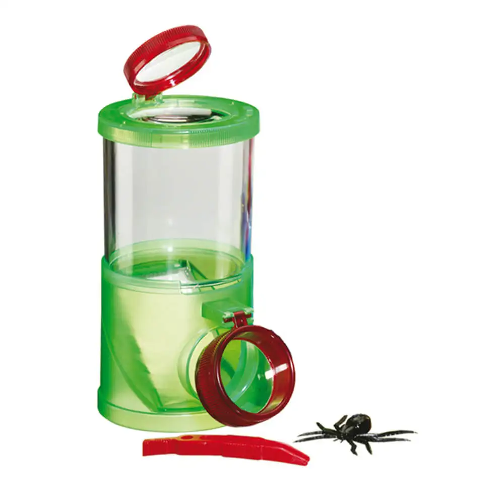 Lupa Insectos - Imagen 3